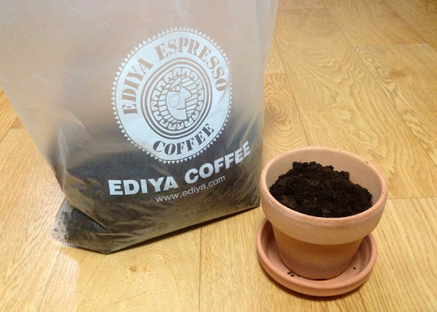 cafe_ediya_coffee_005 コーヒーカス　植木鉢