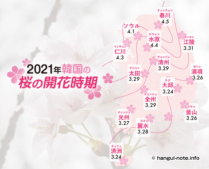 パソコンで2021年韓国の桜開花・桜まつりの情報をチェック！