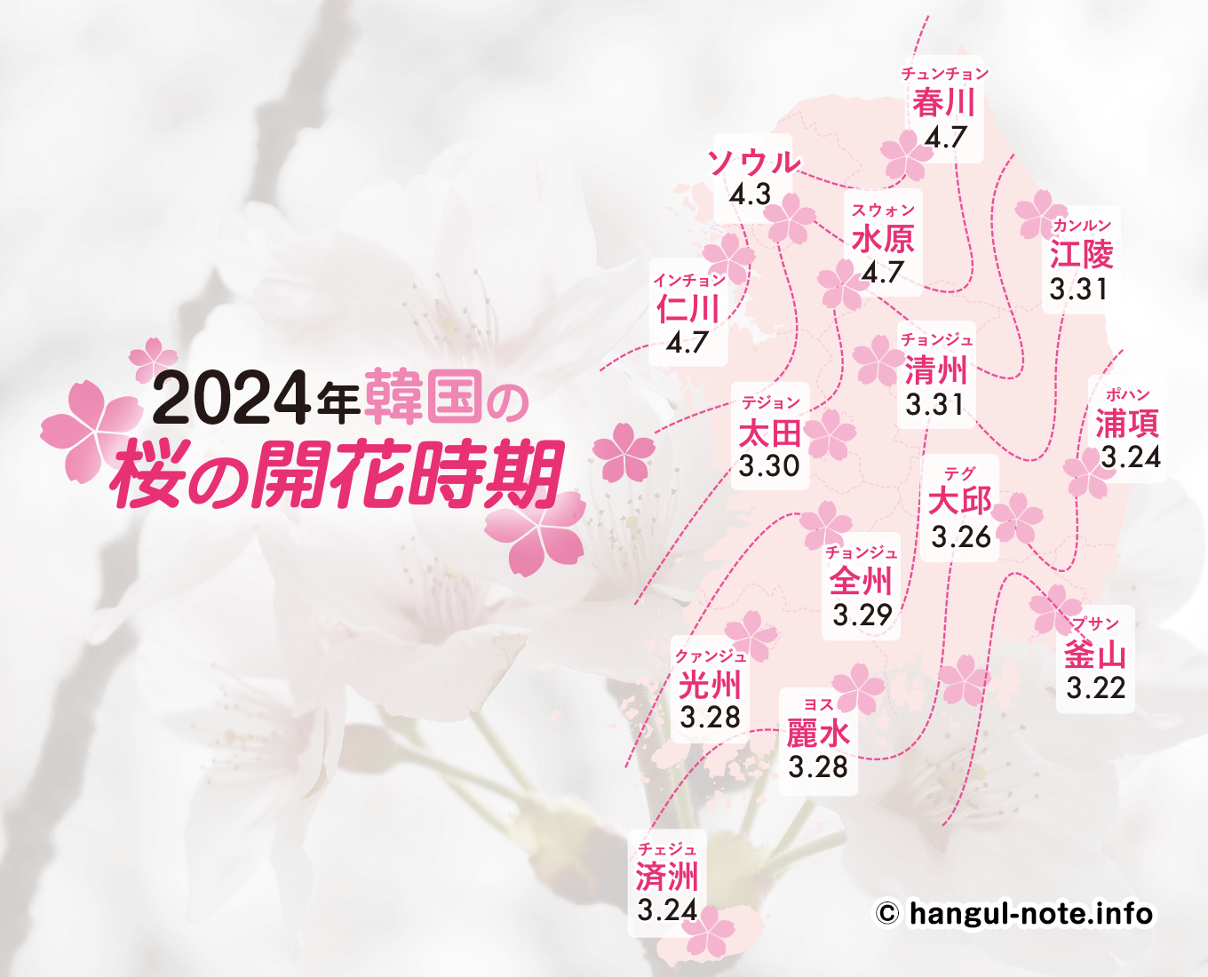 2024年韓国の桜開花・桜まつりの情報をチェック！【パソコン版】