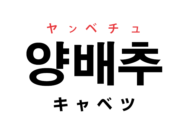 韓国語の「양배추 ヤンペチュ（キャベツ）」を覚える！